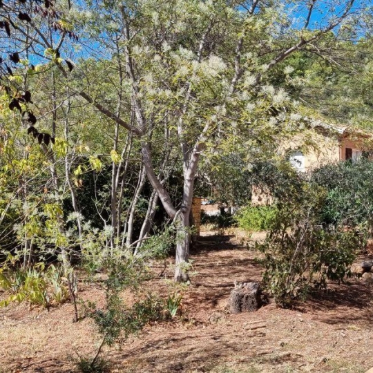  BH PATRIMOINE : Maison / Villa | SAINT-CHINIAN (34360) | 356 m2 | 840 000 € 