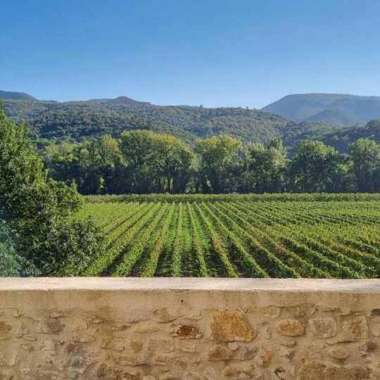  BH PATRIMOINE : Domaines / Propriétés | PEZENAS (34120) | 950 m2 | 2 280 000 € 