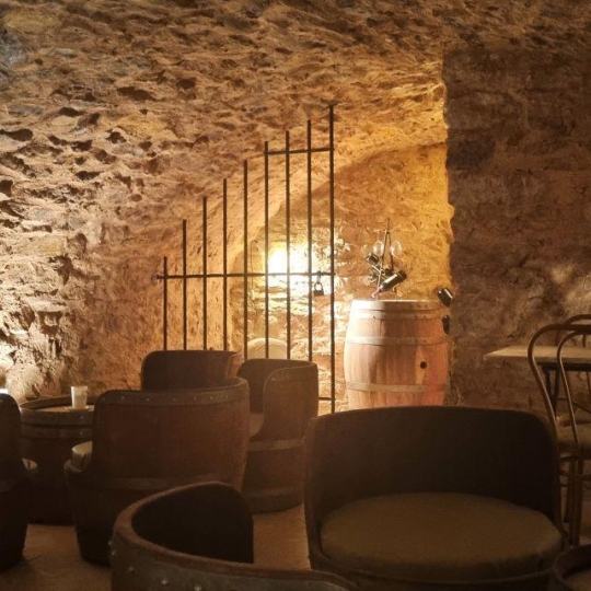  BH PATRIMOINE : Domaines / Propriétés | NARBONNE (11100) | 440 m2 | 1 100 000 € 