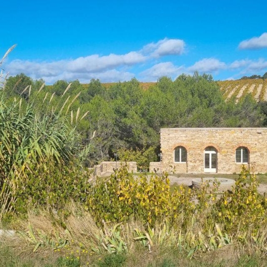  BH PATRIMOINE : Domaines / Propriétés | NARBONNE (11100) | 440 m2 | 1 100 000 € 