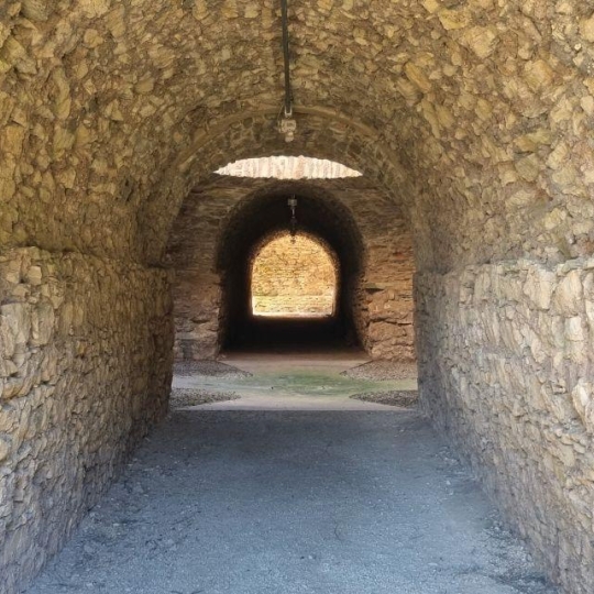  BH PATRIMOINE : Domaines / Propriétés | NARBONNE (11100) | 440 m2 | 1 100 000 € 