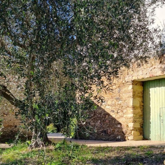  BH PATRIMOINE : Maison / Villa | LAMALOU-LES-BAINS (34240) | 194 m2 | 410 000 € 