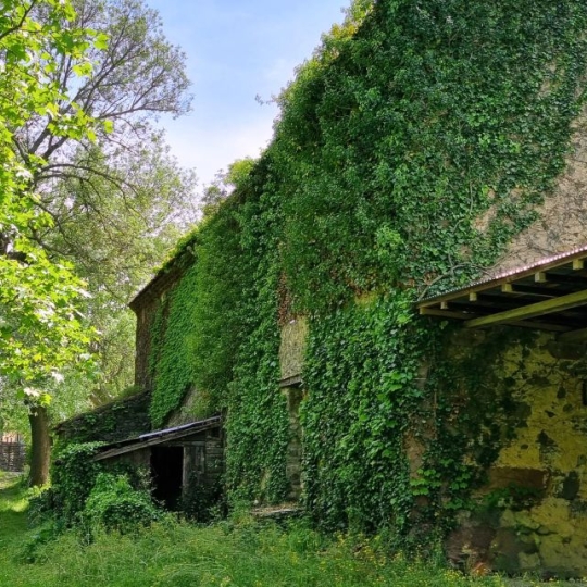  BH PATRIMOINE : Domaines / Propriétés | BEZIERS (34500) | 800 m2 | 1 800 000 € 