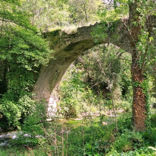  BH PATRIMOINE : Domaines / Propriétés | BEZIERS (34500) | 800 m2 | 1 800 000 € 