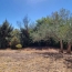  BH PATRIMOINE : Maison / Villa | SAINT-CHINIAN (34360) | 356 m2 | 840 000 € 
