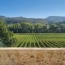  BH PATRIMOINE : Domaines / Propriétés | PEZENAS (34120) | 950 m2 | 2 280 000 € 