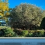  BH PATRIMOINE : Maison / Villa | SAINT-CHINIAN (34360) | 260 m2 | 543 500 € 