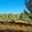  BH PATRIMOINE : Maison / Villa | SAINT-CHINIAN (34360) | 100 m2 | 220 000 € 