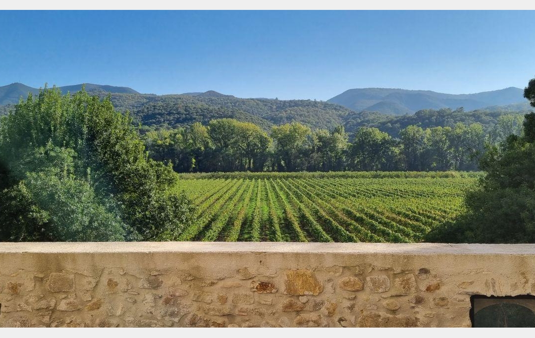BH PATRIMOINE : Domaines / Propriétés | PEZENAS (34120) | 950 m2 | 2 280 000 € 