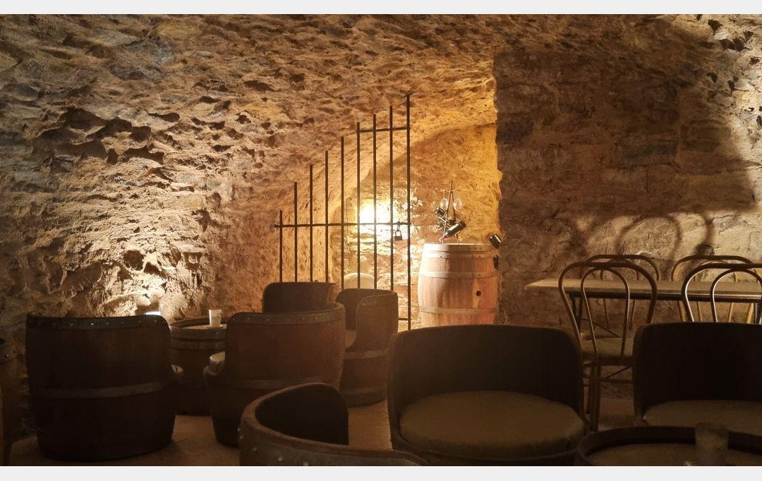 BH PATRIMOINE : Domaines / Propriétés | NARBONNE (11100) | 440 m2 | 1 100 000 € 