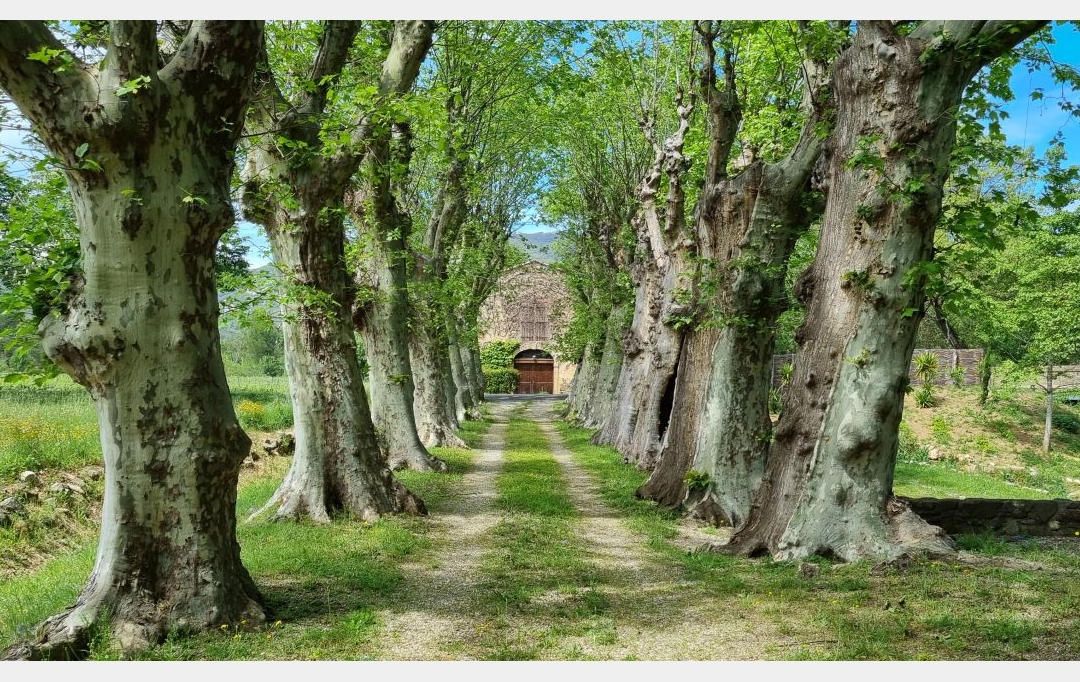 BH PATRIMOINE : Domaines / Propriétés | BEZIERS (34500) | 800 m2 | 1 800 000 € 