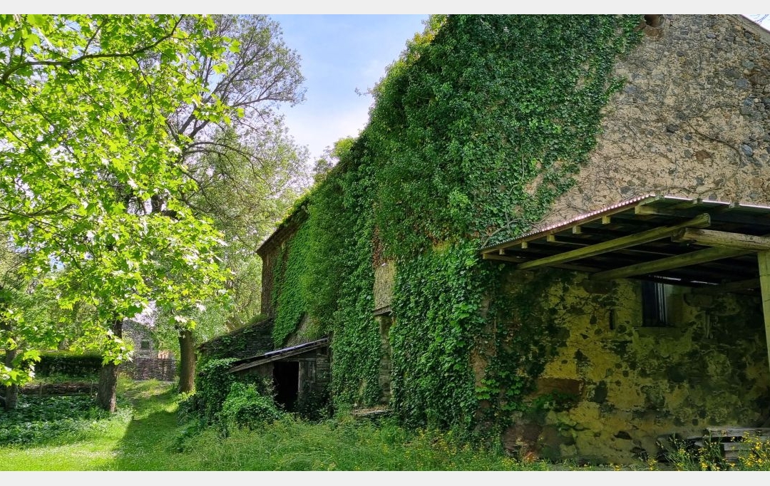BH PATRIMOINE : Domaines / Propriétés | BEZIERS (34500) | 800 m2 | 1 800 000 € 