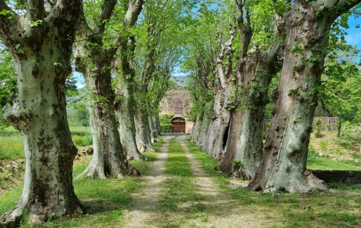Domaine BEZIERS 800 m2 1 800 000 € Domaine BEZIERS 800 m2 1 800 000 €
